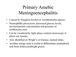 Primary Amebic
Meningoencephalitis
• Caused by Naegleria fowleri or Acanthamoeba species.
• Neutrophillic pleocytosis, decreased glucose levels,
elevated protein concentration and presence of
erythrocytes seen.
• Can be visualized by light, phase contrast microscopy in
direct wet mounts.
• Also identified on Wright’s or Giemsa- stained slides.
• Acridine orange stain is useful to differentiate ameba(brick
red) from leukocytes(bright green)
 