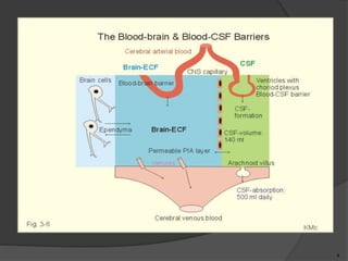 CSF, transudates, exudates.pptx