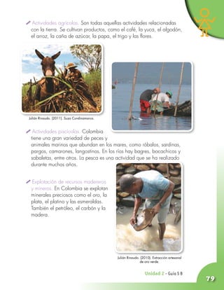 79
Actividades agrícolas. Son todas aquellas actividades relacionadas
con la tierra. Se cultivan productos, como el café, la yuca, el algodón,
el arroz, la caña de azúcar, la papa, el trigo y las flores.
Actividades piscícolas. Colombia
tiene una gran variedad de peces y
animales marinos que abundan en los mares, como róbalos, sardinas,
pargos, camarones, langostinos. En los ríos hay bagres, bocachicos y
sabaletas, entre otros. La pesca es una actividad que se ha realizado
durante muchos años.
Explotación de recursos madereros
y mineros. En Colombia se explotan
minerales preciosos como el oro, la
plata, el platino y las esmeraldas.
También el petróleo, el carbón y la
madera.
Julián Rinaudo. (2011). Suza Cundinamarca.
Julián Rinaudo. (2010). Extracción artesanal
de oro verde.
Unidad ¤ - Guía 5 B
 