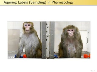 aalto-logo-en-3
Aquiring Labels (Sampling) in Pharmacology
15 / 41
 