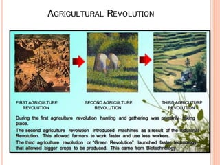 AGRICULTURAL REVOLUTION
 
