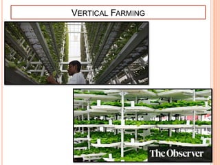 VERTICAL FARMING
 