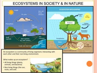ECOSYSTEMS IN SOCIETY & IN NATURE
 