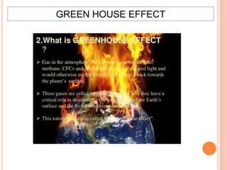 GREEN HOUSE EFFECT
 