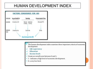 HUMAN DEVELOPMENT INDEX
 