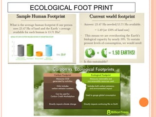 ECOLOGICAL FOOT PRINT
 