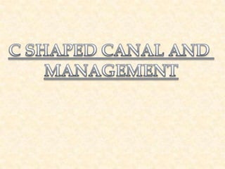 C SHAPED CANAL AND  MANAGEMENT 