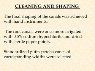 CLEANING AND SHAPING The final shaping of the canals was achieved with hand instruments. The root canals were once more irrigated with 0.5% sodium hypochlorite and dried with sterile paper points.Standardized gutta-percha cones of corresponding widths were selected. 