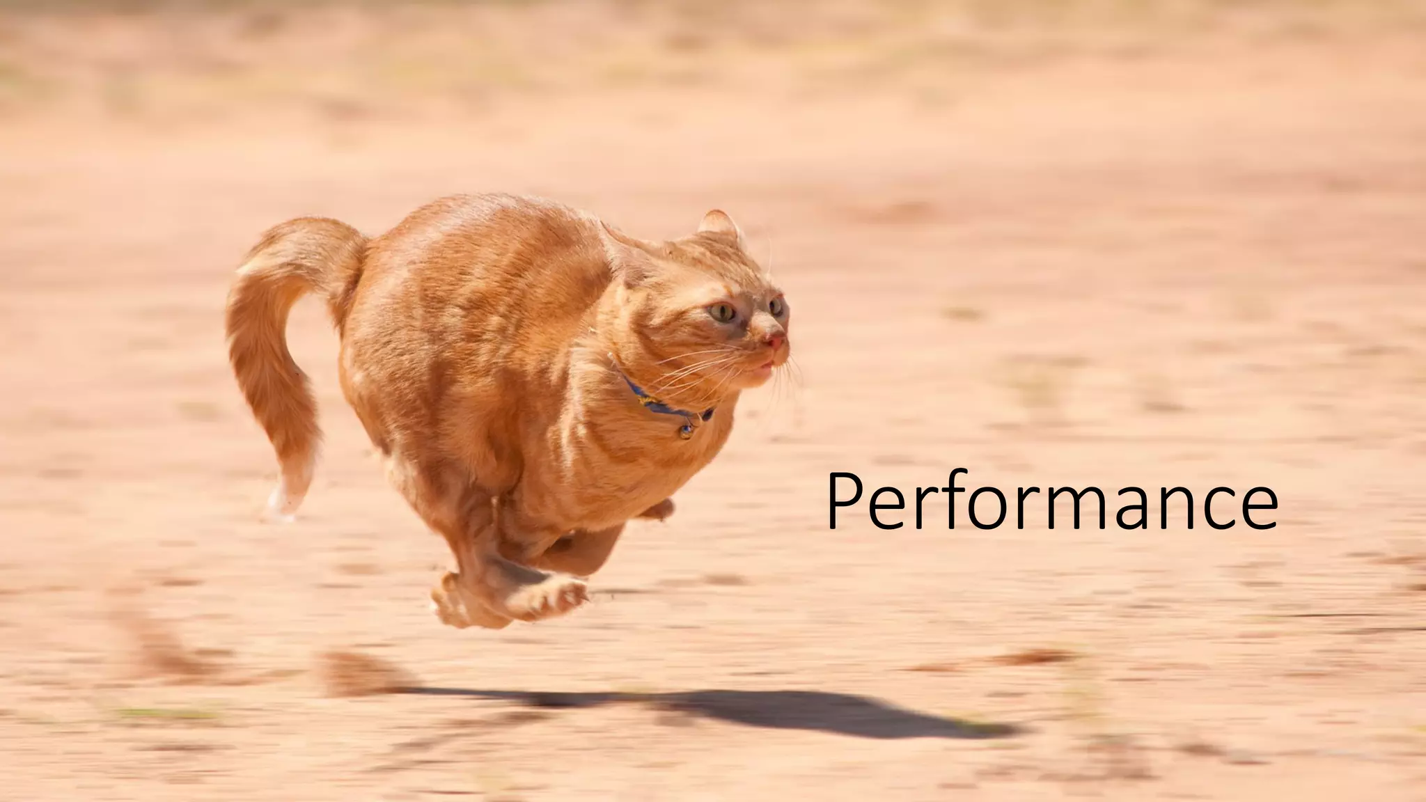 Performance
 