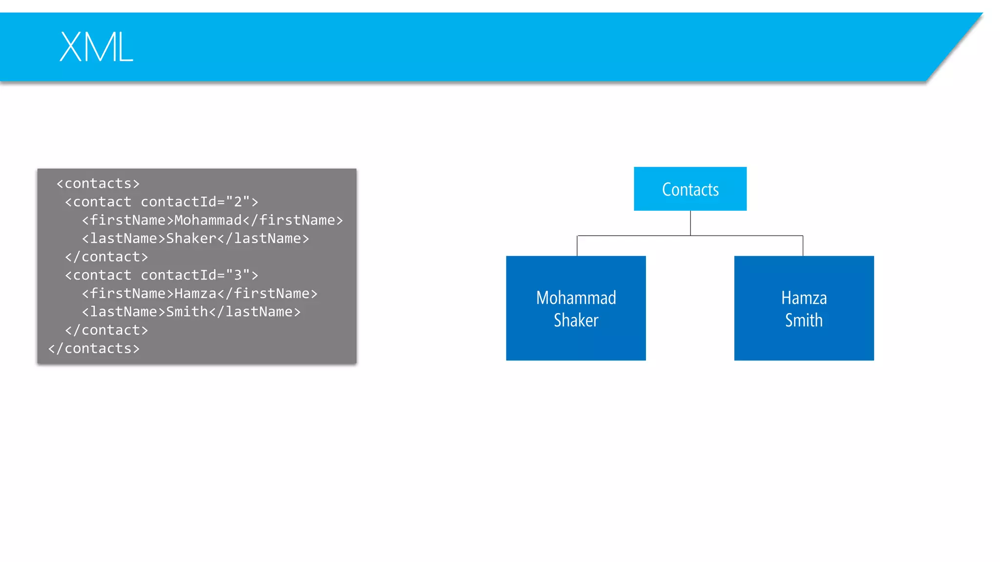 XML 
<contacts> 
<contactcontactId="2"> 
<firstName>Mohammad</firstName> 
<lastName>Shaker</lastName> 
</contact> 
<contactcontactId="3"> 
<firstName>Hamza</firstName> 
<lastName>Smith</lastName> 
</contact> 
</contacts> 
Contacts 
Mohammad 
Shaker 
Hamza 
Smith  