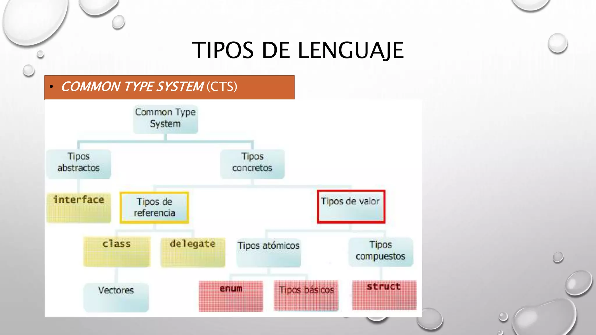 TIPOS DE LENGUAJE
• COMMON TYPE SYSTEM (CTS)
 