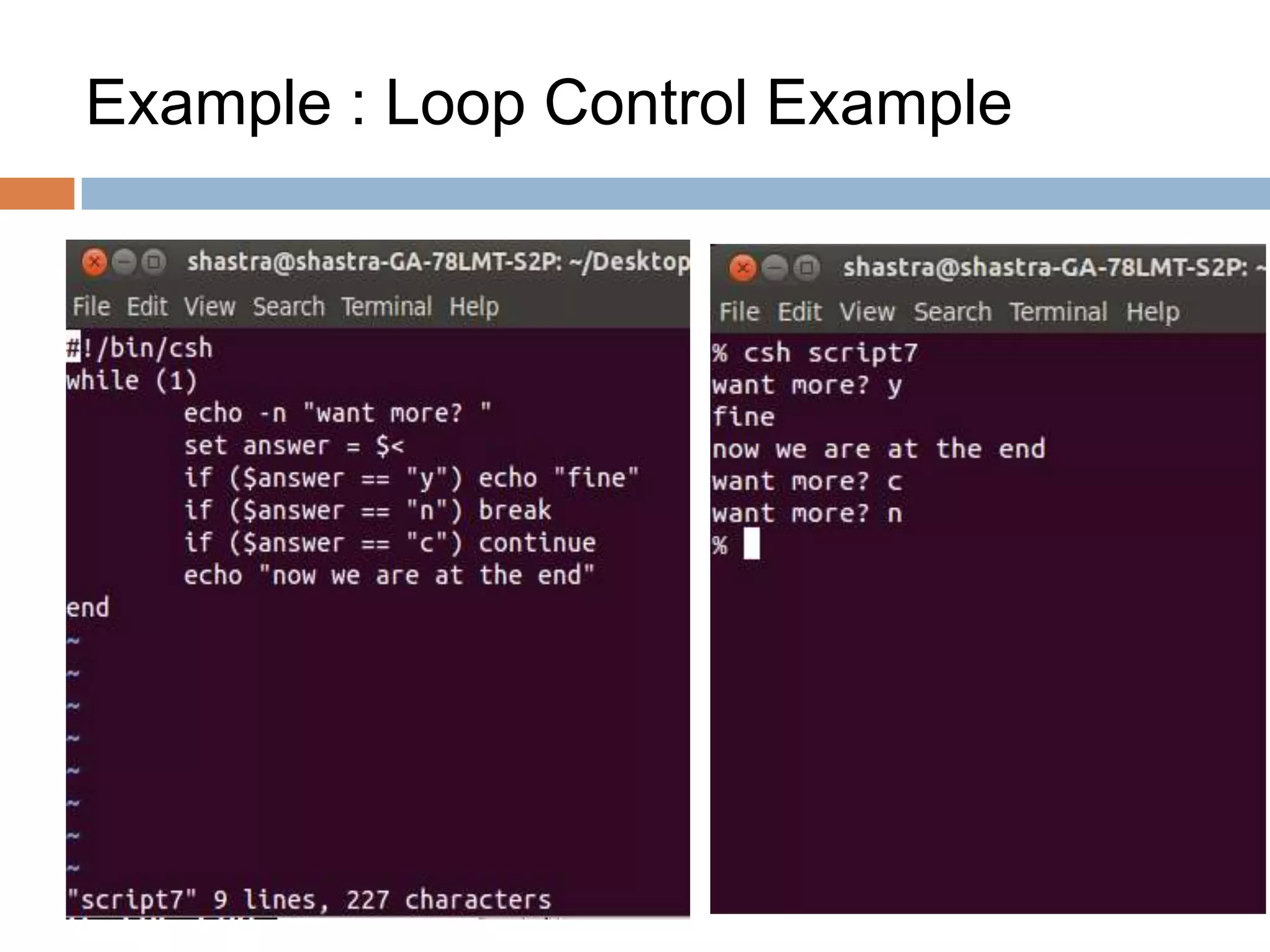 First steps in C-Shell | PPTX