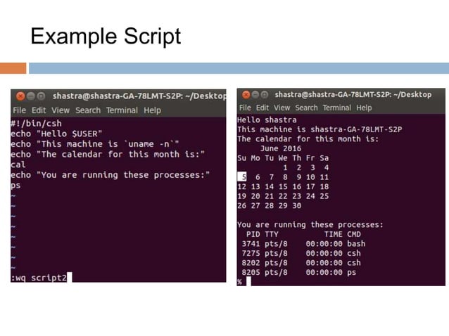 First steps in C-Shell | PPTX