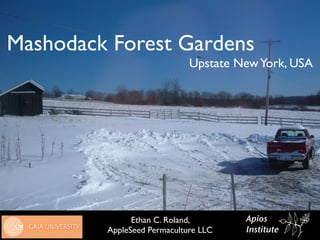 Mashodack Forest Gardens
                             Upstate New York, USA




               Ethan C. Roland,       Apios
         AppleSeed Permaculture LLC   Institute
 