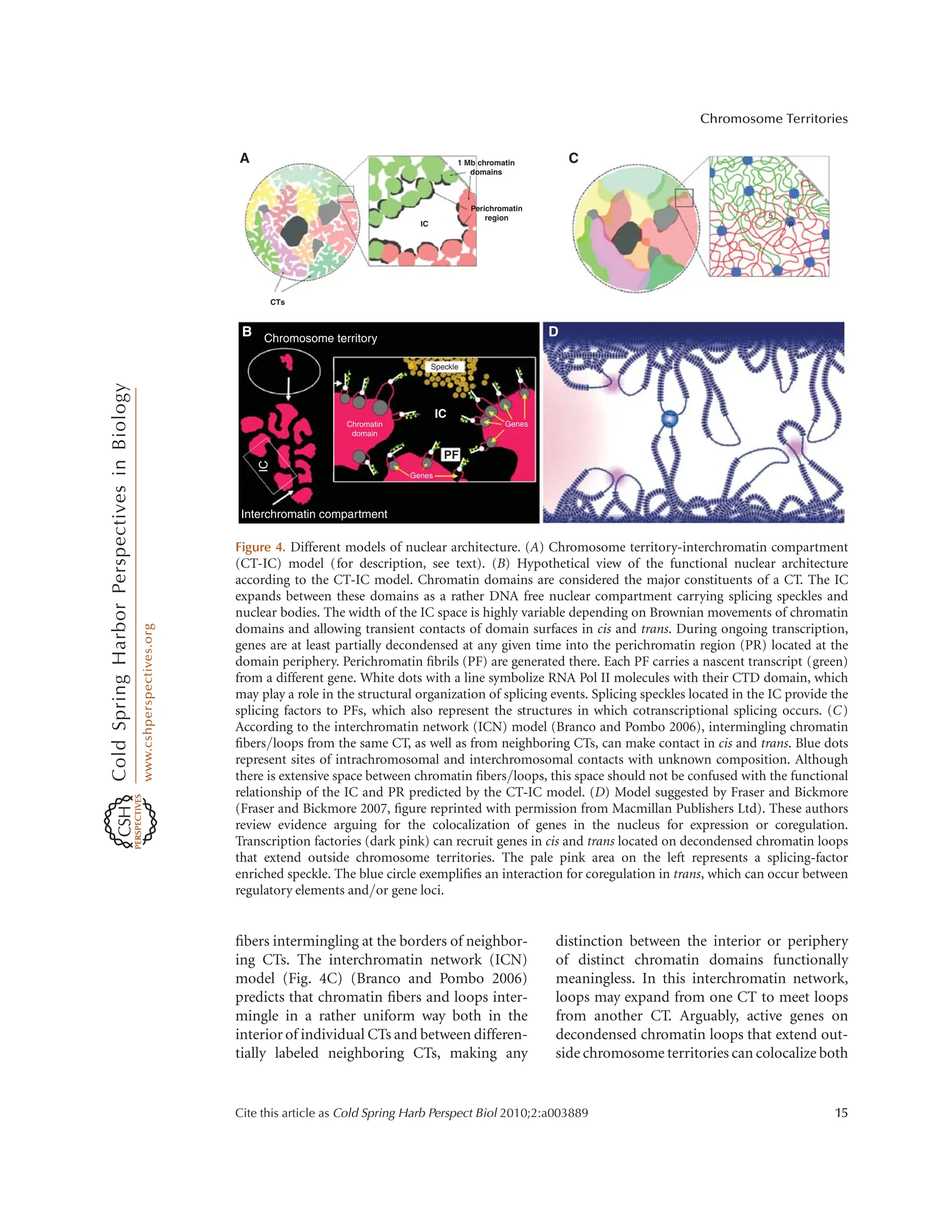 Cts Loop cshperspect-NUC-a003889 (kkhcdtugfjvcyuu1).pdf