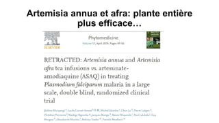Artemisia annua et afra: plante entière
plus efficace…
 