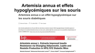 Artemisia annua et effets
hypoglycémiques sur les souris
 
