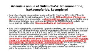 Artemisia annua et SARS-CoV-2: Rhamnocitrine,
isokaempferide, kaempferol
• Les chercheurs de plusieurs pays dont le Nigéri...