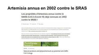 Artemisia annua en 2002 contre le SRAS
 