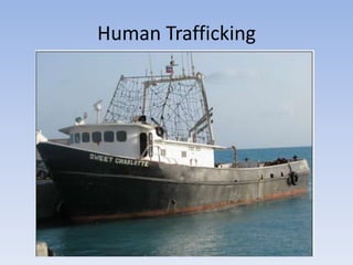 Human Trafficking
 