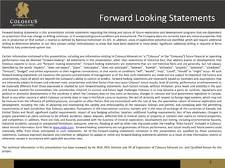 Project Look Back Look Forward Project Statement Example CSI Corporate Presentation | PDF