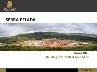 SERRA PELADA




                                    February 2013

               Building Brazil’s Next Gold Mine.


                                         February 2013
 
