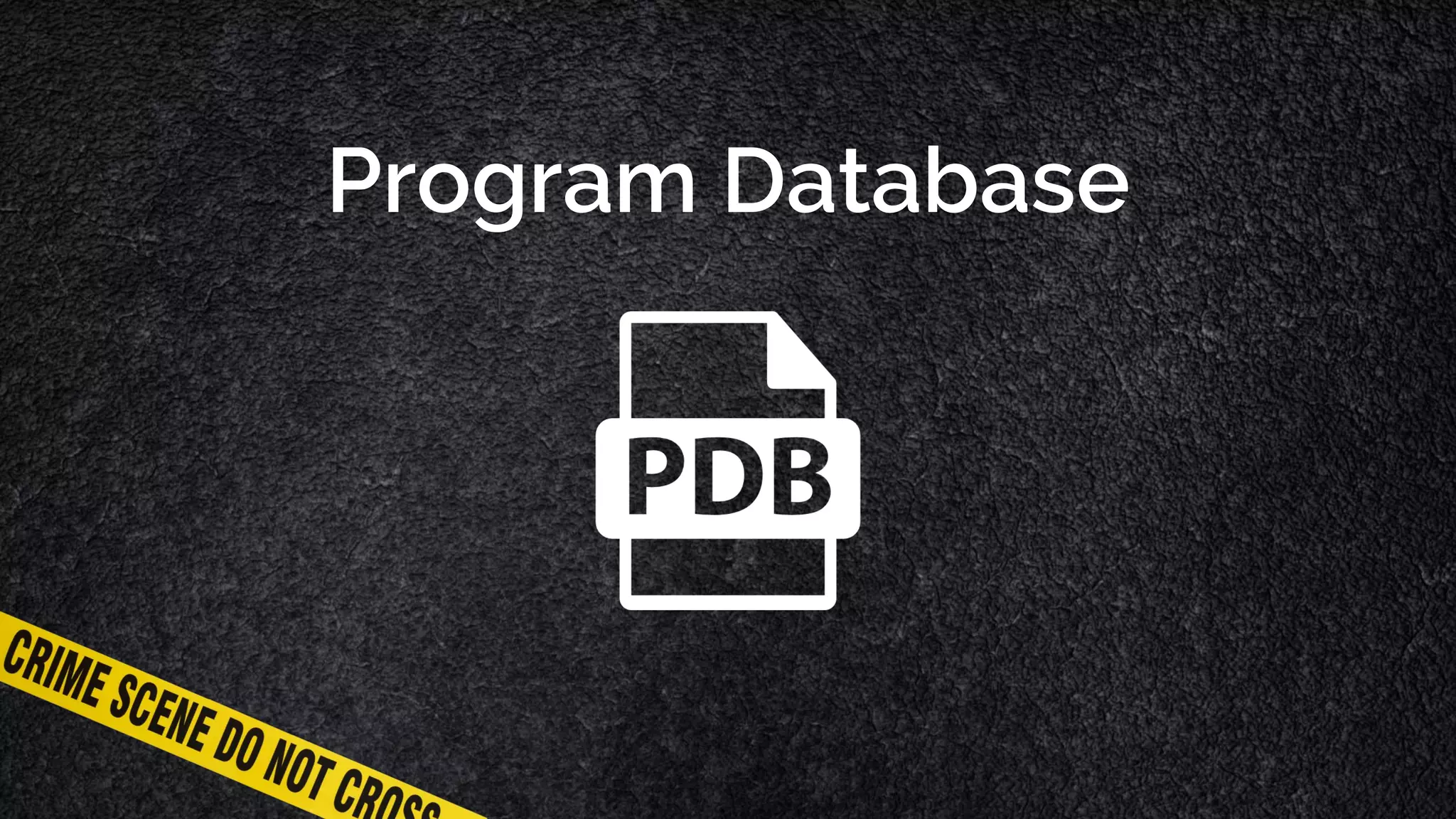 Program Database 