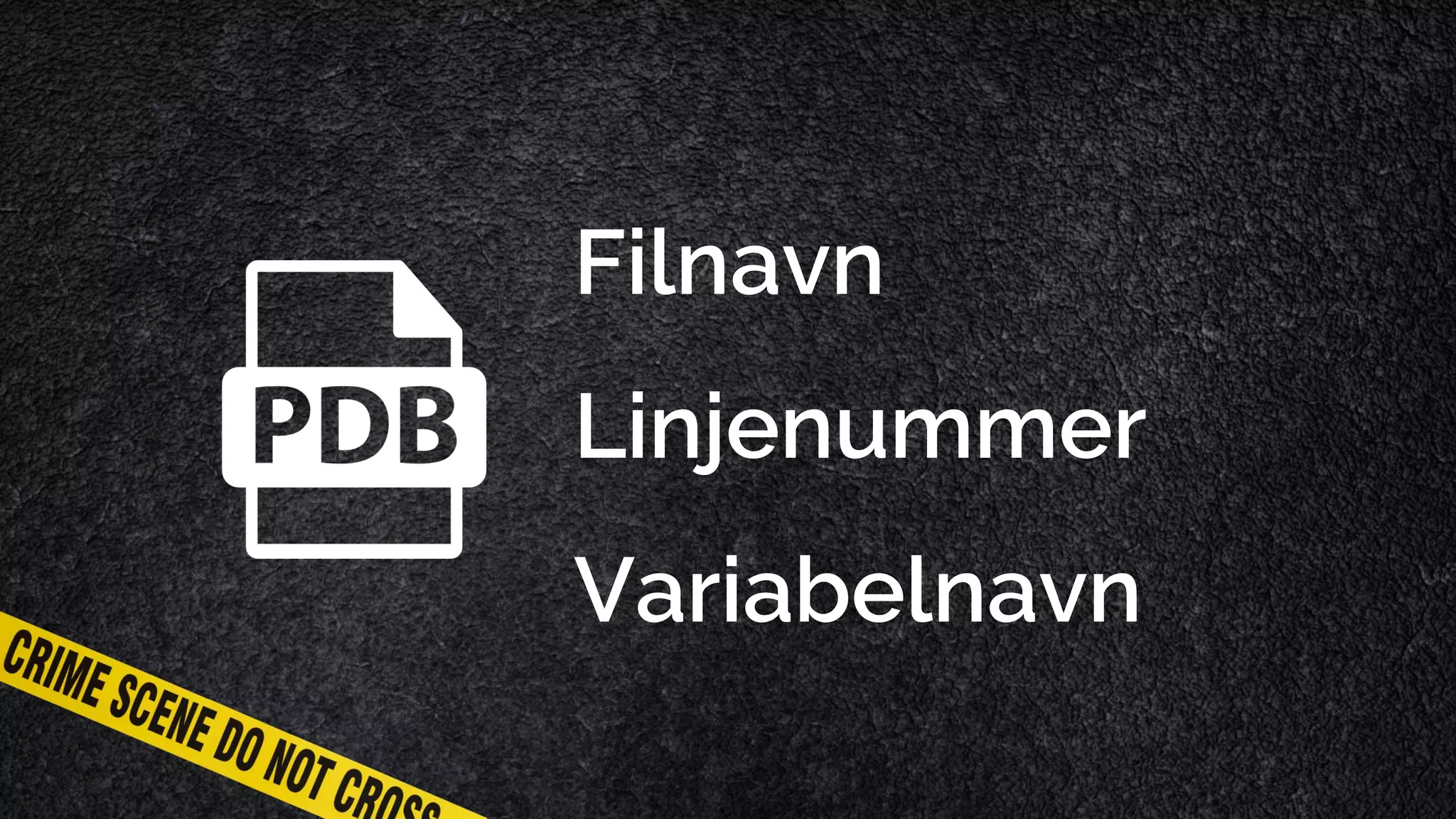 Filnavn Linjenummer Variabelnavn 