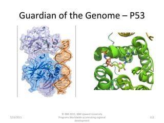 Guardian of the Genome – P53
7/23/2015
© IBM 2015, IBM Upward University
Programs Worldwide accelerating regional
development
112
 