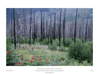 7/23/2015
© IBM 2015, IBM Upward University
Programs Worldwide accelerating regional
development
118
 