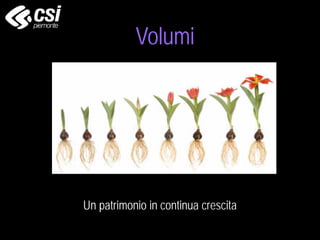 Un patrimonio in continua crescita
Volumi
 