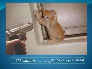 ‫اقفشتك‬‫ال‬ ‫انتي‬ ‫اكيد‬ ‫حرمياية‬ ‫يا‬??Assailant ……
 