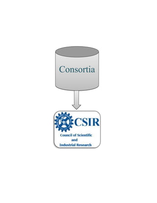 Consortia
 