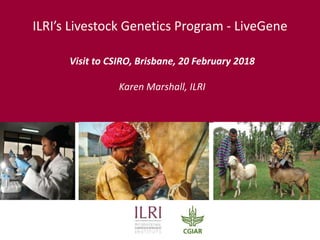 ILRI’s Livestock Genetics Program - LiveGene
Visit to CSIRO, Brisbane, 20 February 2018
Karen Marshall, ILRI
 