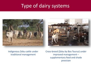 ILRI’s Livestock Genetics Program—LiveGene