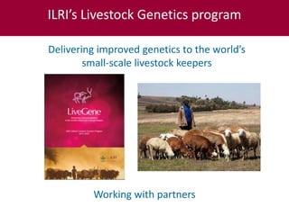 ILRI’s Livestock Genetics Program—LiveGene
