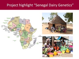 ILRI’s Livestock Genetics Program—LiveGene