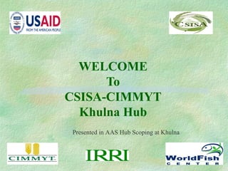 WELCOME
To
CSISA-CIMMYT
Khulna Hub
Presented in AAS Hub Scoping at Khulna
 
