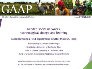 Gender, social networks,
technological change and learning
Evidence from a field experiment in Uttar Pradesh, India
Nicholas Magnan, University of Georgia
Kajal Gulati, University of California, Davis
Travis J. Lybbert, University of California, Davis
David J. Spielman, International Food Policy Research Institute
A GAAP contribution to the Cereal Systems Initiative for South Asia (CSISA)
A CSISA contribution to the Gender, Agriculture and Assets (GAAP) Project
 