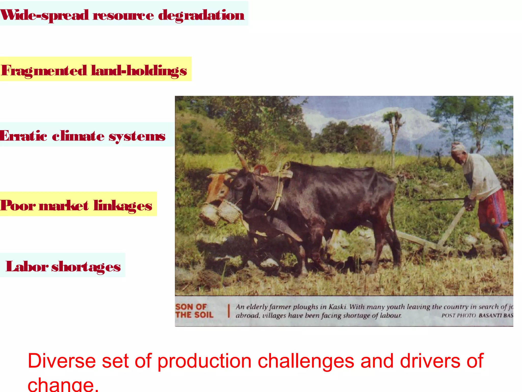 Wide-spread resource degradation


Fragmented land-holdings



Erratic climate systems



Poor market linkages


Labor shortages




    Diverse set of production challenges and drivers of
    change.
 