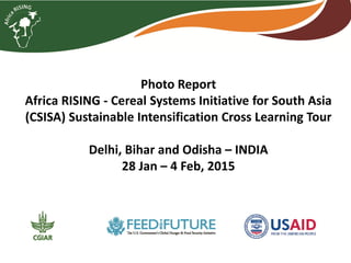 Photo Report
Africa RISING - Cereal Systems Initiative for South Asia
(CSISA) Sustainable Intensification Cross Learning Tour
Delhi, Bihar and Odisha – INDIA
28 Jan – 4 Feb, 2015
 
