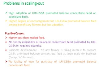 Balanced concentrate feed field trial results in Samastipur and Muzaffarpur