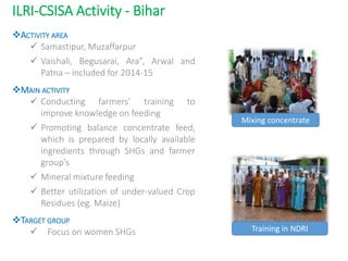 Balanced concentrate feed field trial results in Samastipur and Muzaffarpur