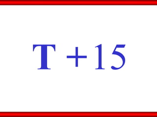 15 T + 