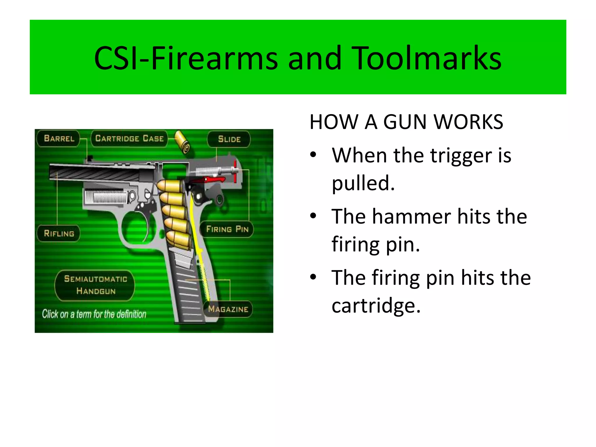 CSI-Firearms and Toolmarks
HOW A GUN WORKS
• When the trigger is
pulled.
• The hammer hits the
firing pin.
• The firing pin hits the
cartridge.
 