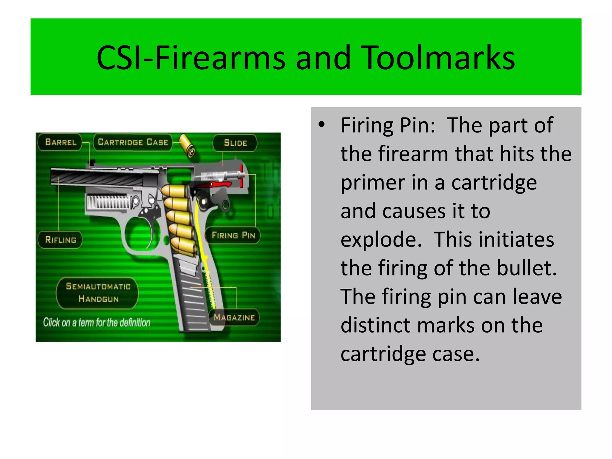 CSI-Firearms and Toolmarks
• Firing Pin: The part of
the firearm that hits the
primer in a cartridge
and causes it to
explode. This initiates
the firing of the bullet.
The firing pin can leave
distinct marks on the
cartridge case.
 