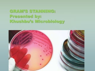 {
GRAM’S STANNING:
Presented by:
Khushbu’s Microbiology
 