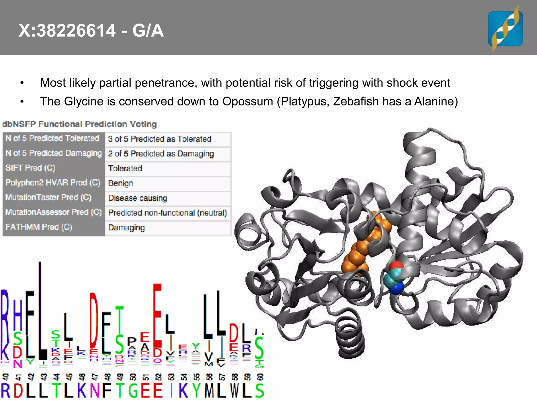 X:38226614 - G/A
• Most likely partial penetrance, with potential risk of triggering with shock event
• The Glycine is conserved down to Opossum (Platypus, Zebafish has a Alanine)
 