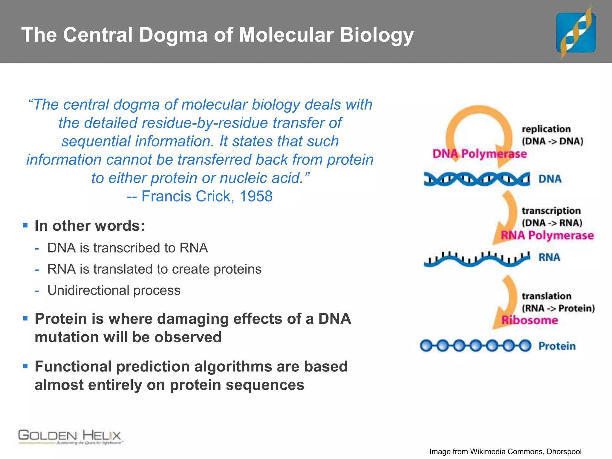The Central Dogma of Molecular Biology
“The central dogma of molecular biology deals with
the detailed residue-by-residue transfer of
sequential information. It states that such
information cannot be transferred back from protein
to either protein or nucleic acid.”
-- Francis Crick, 1958
 In other words:
- DNA is transcribed to RNA
- RNA is translated to create proteins
- Unidirectional process
 Protein is where damaging effects of a DNA
mutation will be observed
 Functional prediction algorithms are based
almost entirely on protein sequences
Image from Wikimedia Commons, Dhorspool
 