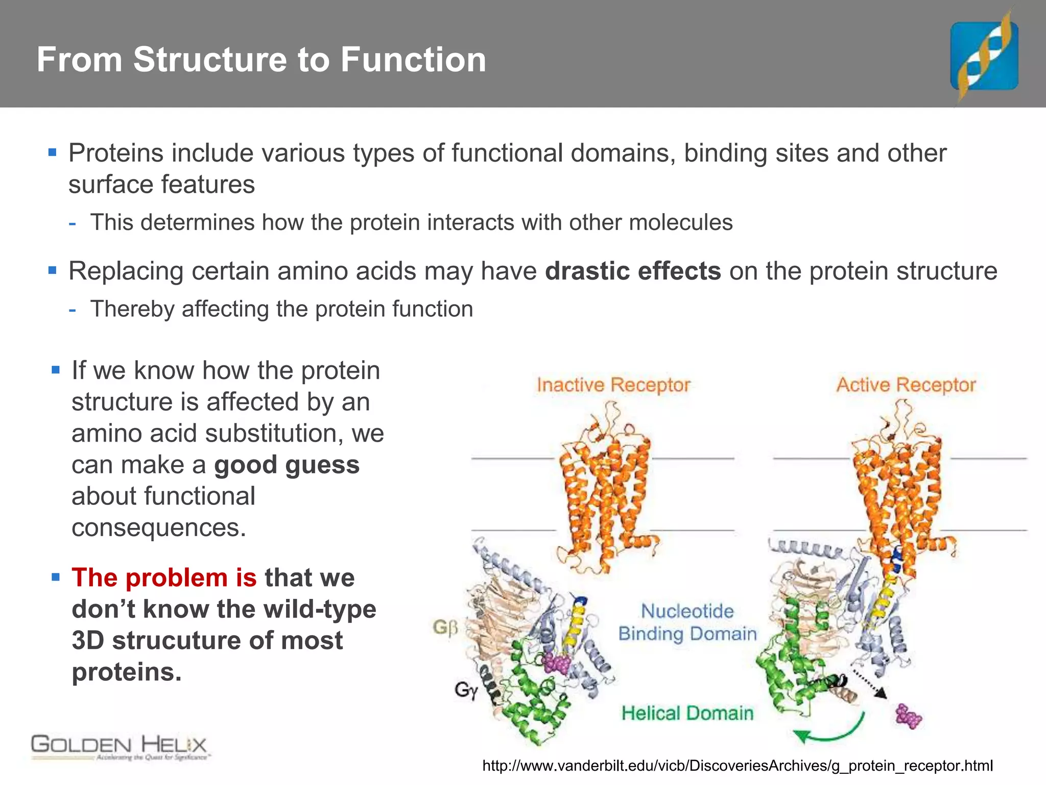 From Structure to Function
 Proteins include various types of functional domains, binding sites and other
surface features
- This determines how the protein interacts with other molecules
 Replacing certain amino acids may have drastic effects on the protein structure
- Thereby affecting the protein function
http://www.vanderbilt.edu/vicb/DiscoveriesArchives/g_protein_receptor.html
 If we know how the protein
structure is affected by an
amino acid substitution, we
can make a good guess
about functional
consequences.
 The problem is that we
don’t know the wild-type
3D strucuture of most
proteins.
 